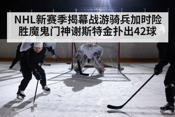 ice hockey game action