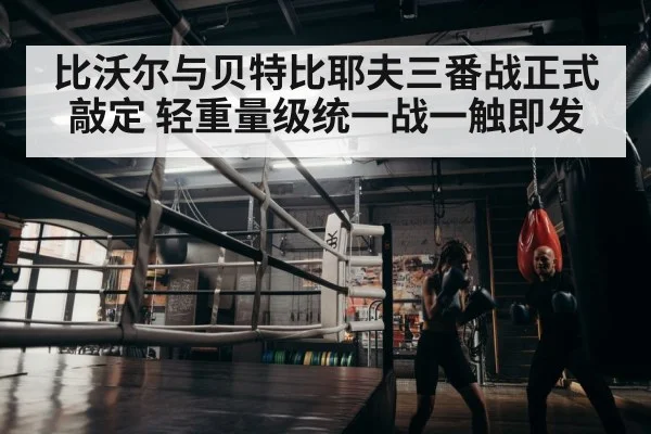 boxer training