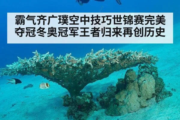 霸气齐广璞空中技巧世锦赛完美夺冠冬奥冠军王者归来再创历史